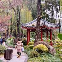 🍵 Tea Lover's Paradise: Discover Heming Tea House in Chengdu