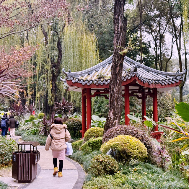 🍵 Tea Lover's Paradise: Discover Heming Tea House in Chengdu