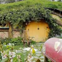 Stepping Into Middle-earth: My Magical Visit to Hobbiton Movie Set