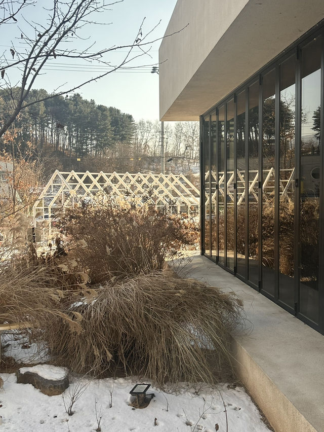 ❄️ 겨울철 별미 ❤️ 춘천의 따끈한 닭갈비 맛집투어 여행지 추천