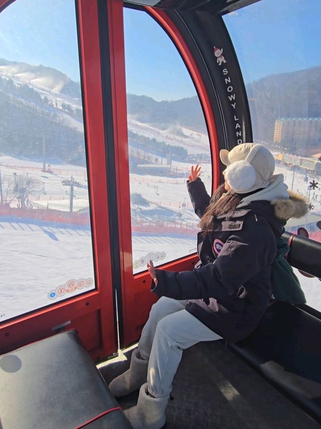 입장권 하나로 하루종일 즐기는 눈마을☃️
