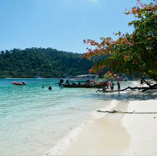เกาะรอก