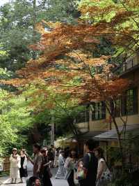 Explore the Enchanting Surroundings of Mount Kibune in Kyoto