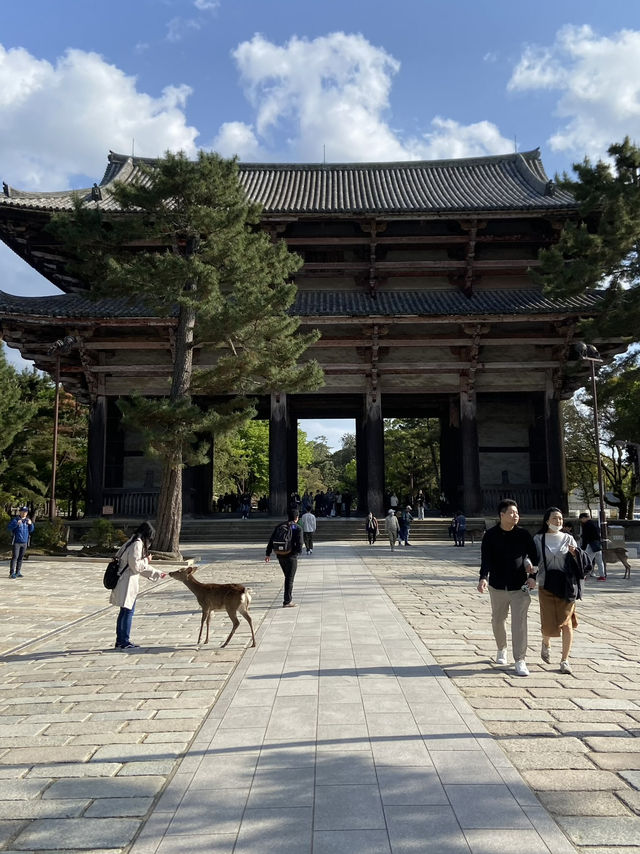 Todaiji Temple: Awe-Inspiring Temple
