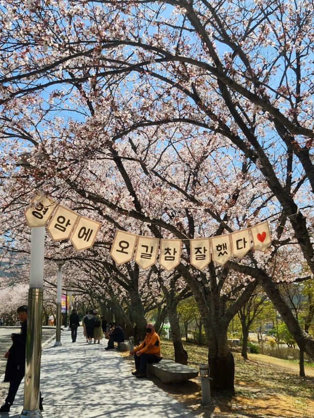 영암 왕인박사