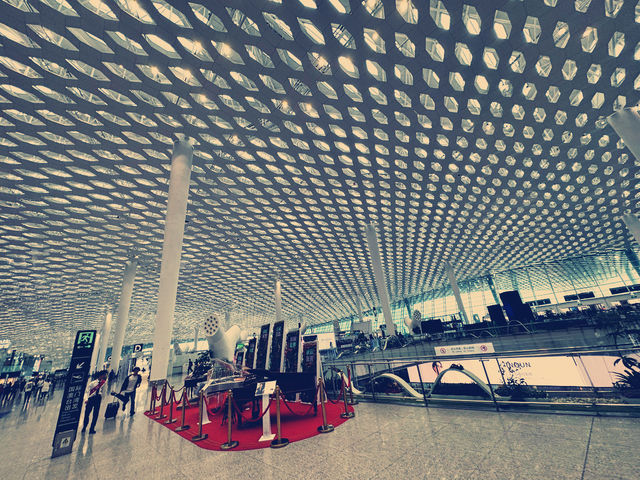 深圳 - 深入寶安的感動之旅 ✈️✨