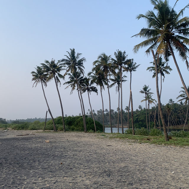 🖤BLACK🖤 sand beach in INDIA? 