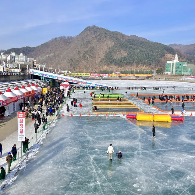 역대급 으로 핫한 화천산천어축제🐟