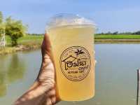 คาเฟ่กลางทุ่งนาวิวสุดปัง คาเฟ่สุดชิล อาหารอร่อย