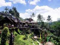 A spectacular view of the green Tegalalang rice terrace💚