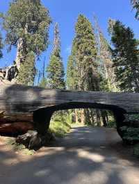 Beautiful national park to hike & relax!