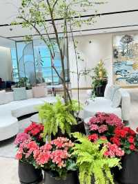 Exclusive Dining at the Private Prestige Club, Taipei 101