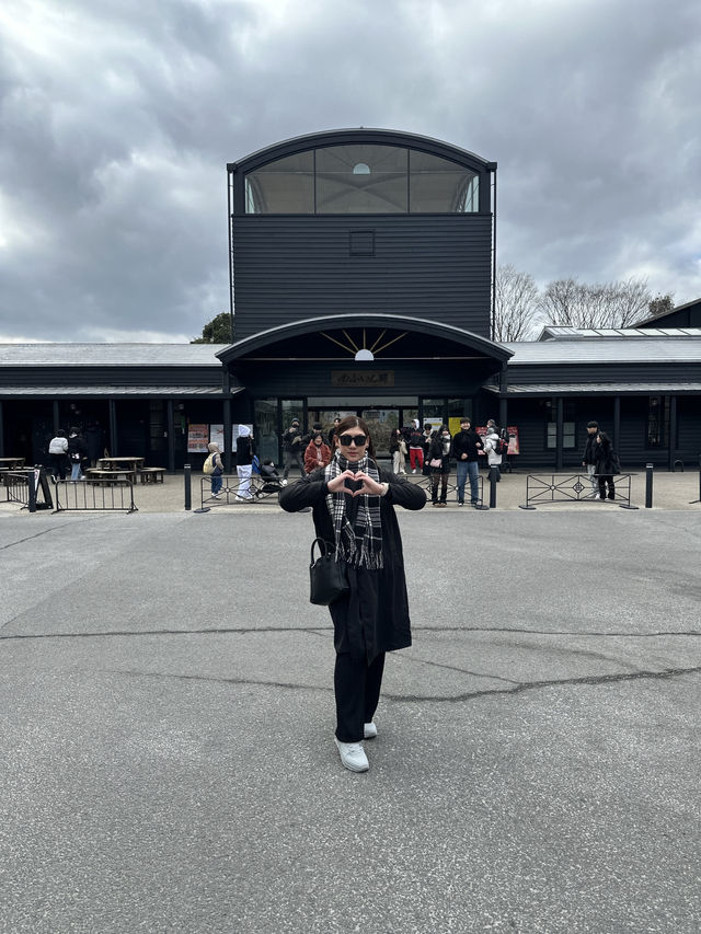 Yufuin Floral Village 🏰 | Oita | Japan 🇯🇵