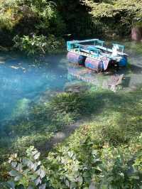 【白龍湖の普段はみれない景色】