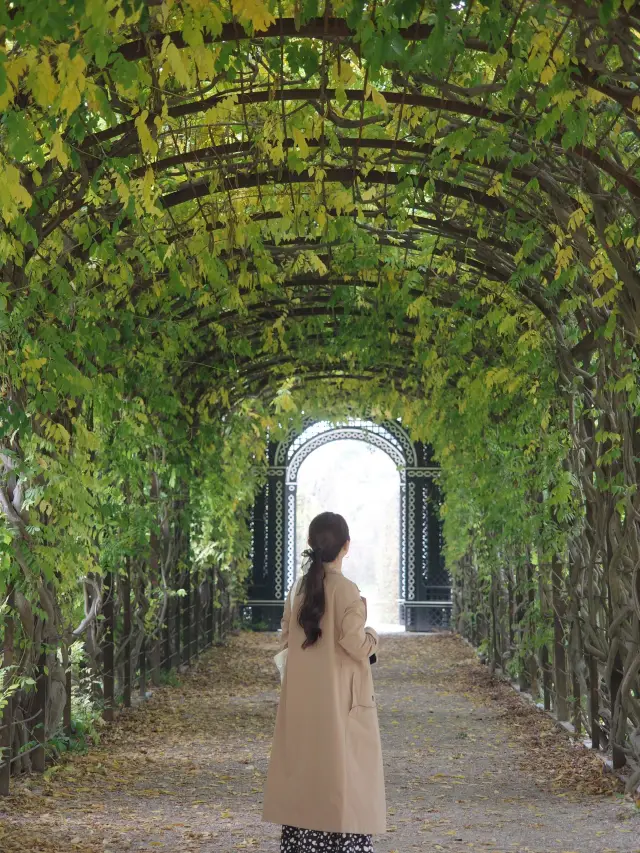 シェ恩布倫宮的花園／奧地利