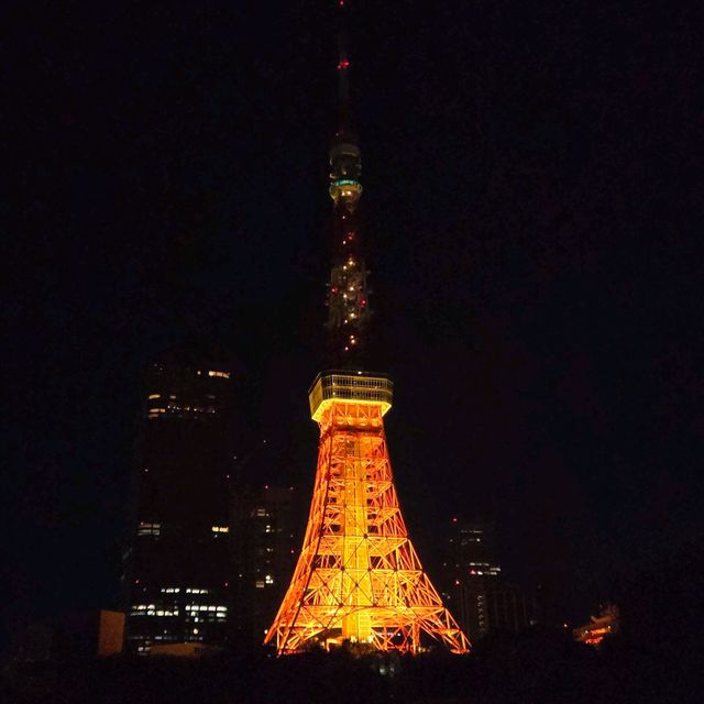 東京タワー夜景散歩：煌めく東京の象徴を巡る旅