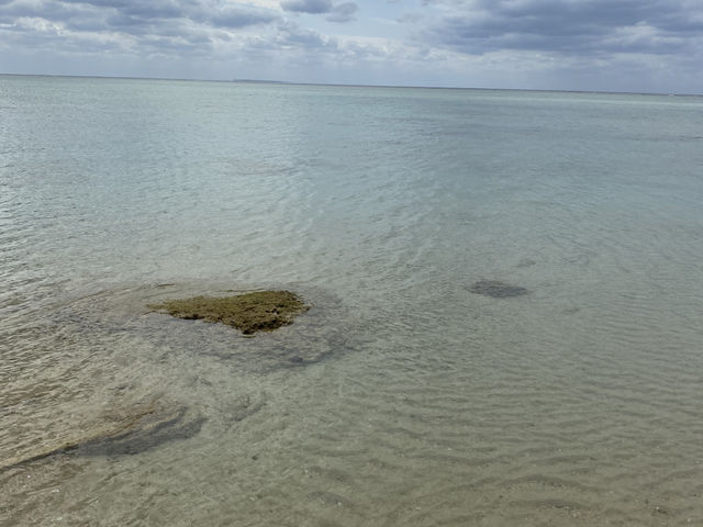 西表島