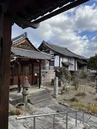 Magnificent Jorin-ji Temple, Kyoto 🇯🇵