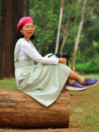 สวนสนแม่แตง ที่เที่ยวเชียงใหม่ จุดถ่ายรูปสุดฮิป