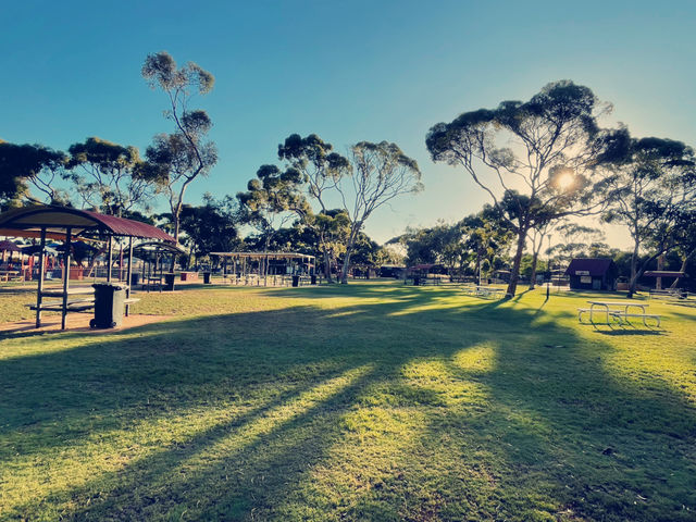 Hammond Park- Natures beauty of Kalgoorlie