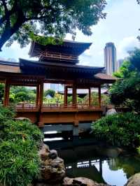 Nan Lian Garden: A Zen Escape in Hong Kong 🌿