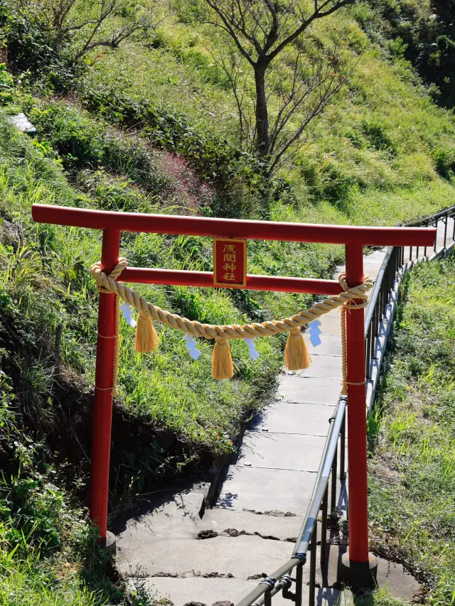 東京近郊遊 - 漫步大室山、小室山和探訪可愛的水豚