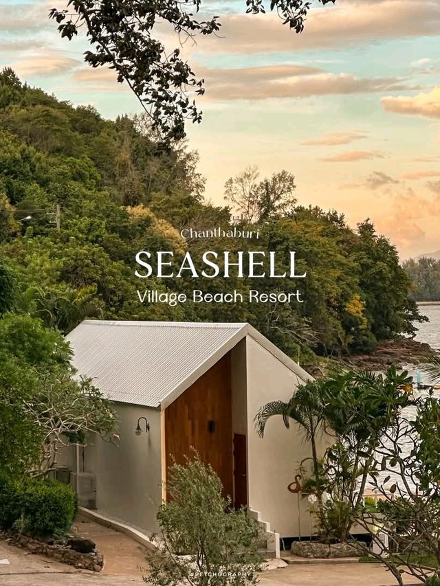 Seashell Village Beach Resort 🌅✨
