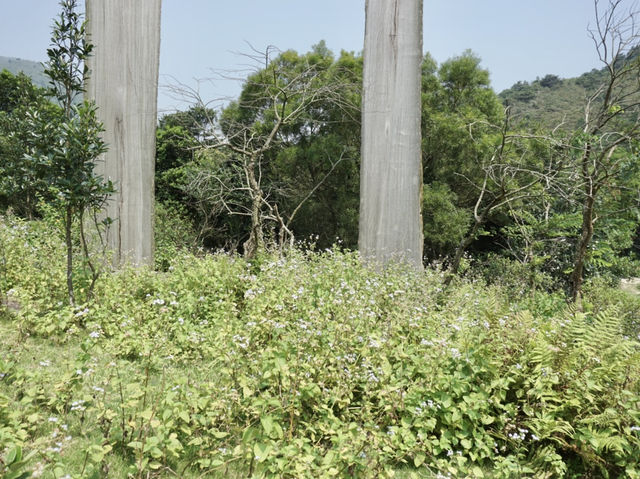 Wisdom in the Mountains: A Journey Through Hong Kong’s Quiet Gem