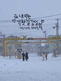 오타루 당일치기/1박2일 여행일정 추천! 
