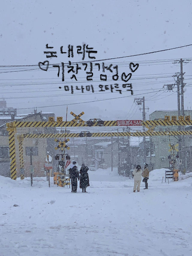 오타루 당일치기/1박2일 여행일정 추천! 