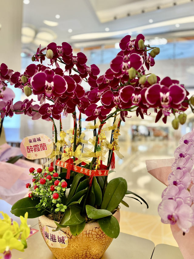 「花語心願」新春佈置暨「第十九屆新春花展會」@東港城