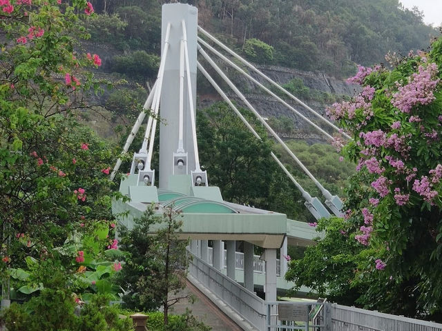 青馬大橋觀景台：情人節的壯麗浪漫