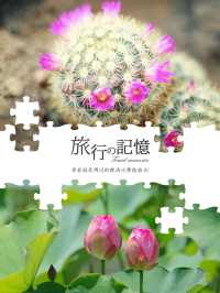 一覽美麗鮮花💐就在Osaka