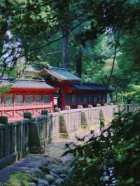 景點推薦：根津神社——東京近郊的千本鳥居與百年古韻