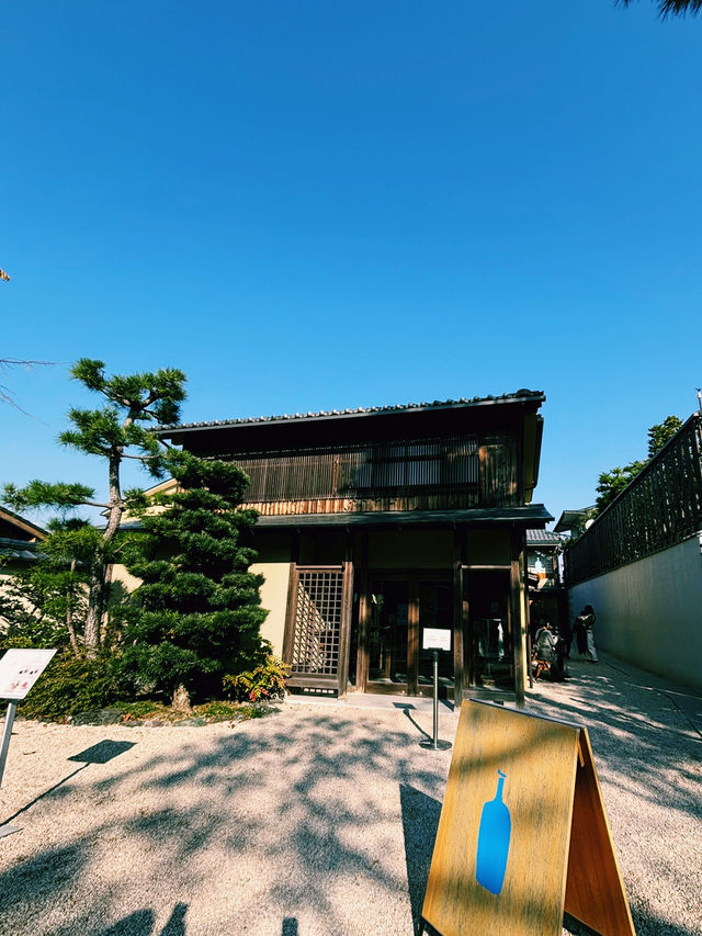 燃えるような紅葉🍁南禅寺で極上の秋を！