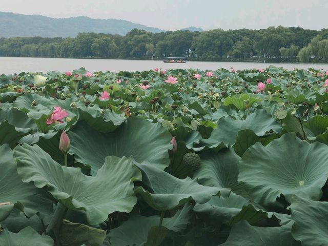 A must-visit place in Hangzhou is West Lake!