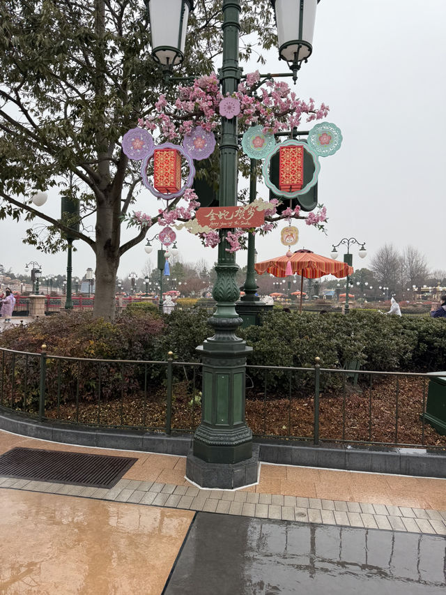 Overnight in Shanghai means Disney