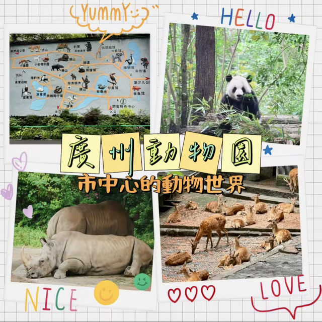 廣州動物園-市中心的動物世界