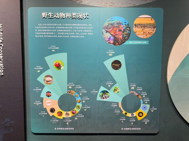 중국 베이징 자연사 박물관 입니다. 