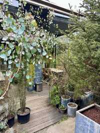 Escape to Tranquil Bliss: A Weekend Getaway at Yichi Garden Homestay