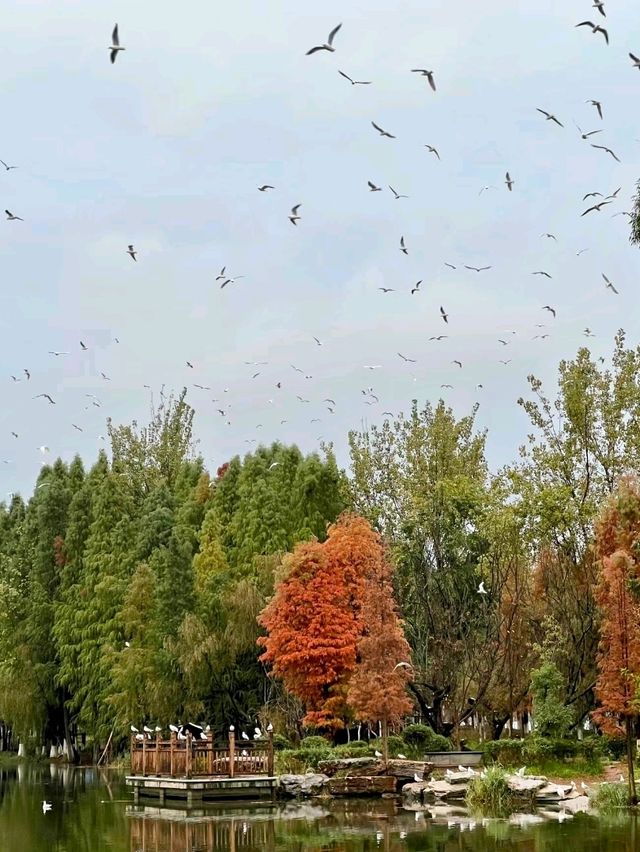 Haihong Wetland: A Harmonious Blend