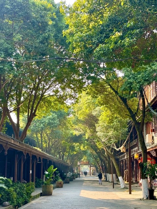 Cultural Street: Showcasing Courtyard Style