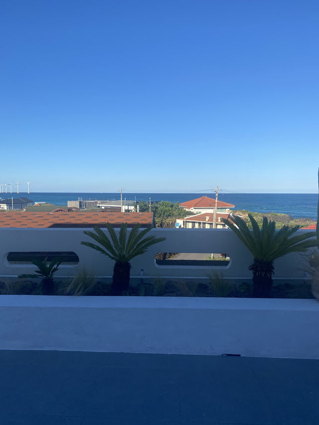 제주도 5박6일 여행 🍊 - ❷