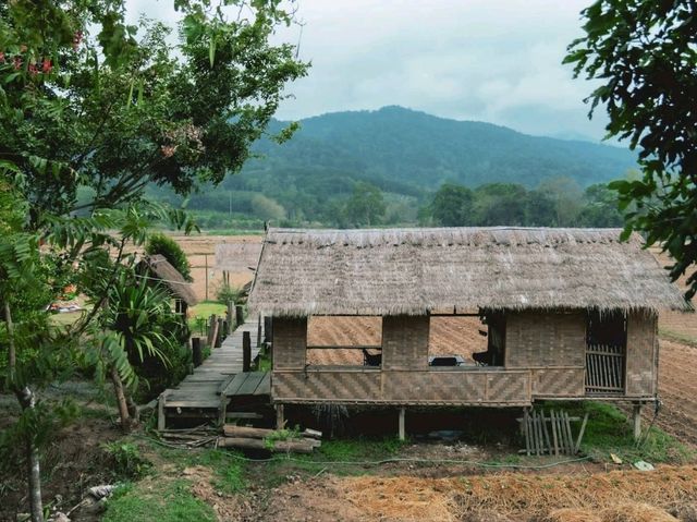 เมาเขา คอฟฟี่ เชียงราย  ⛰️