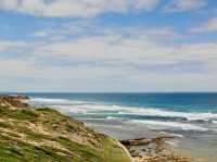 兩種海洋的奇蹟：探秘墨爾本的Point Nepean National Park 🌊🏖️