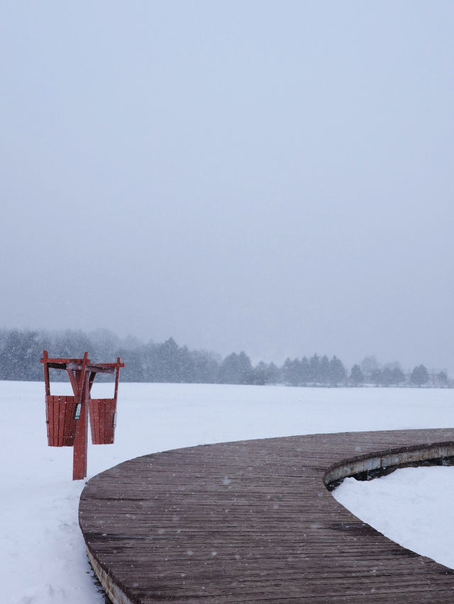 心中的日月：香格里拉普達措彷彿雪國