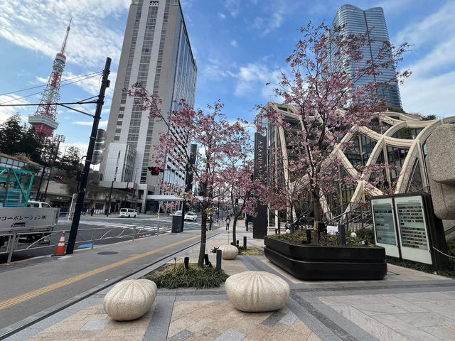 麻布台之丘賞櫻美景