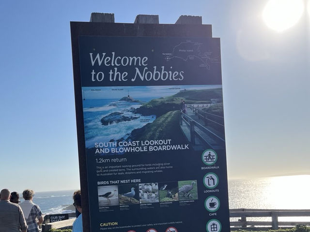 🇦🇺 又有海景又是企鵝的家！🐧