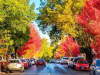 Hahndorf (German village) 