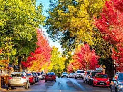 Hahndorf (German village) 